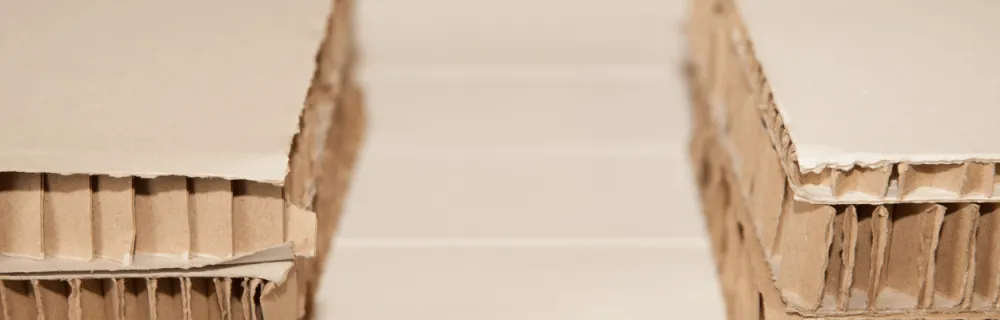 Tektura plaster miodu