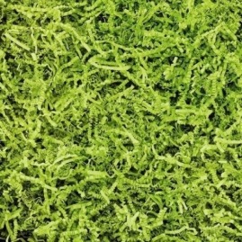 Wypełniacz do kartonów