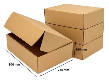 Pakiet - Karton wykr. 300x240x100mm - 50 szt