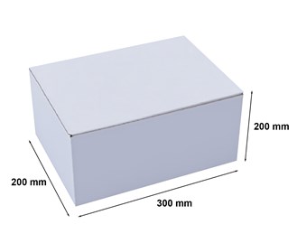 Karton wykrojnikowy 300x200x200