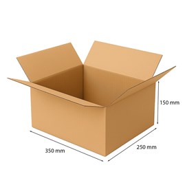 Karton wysyłkowy duży