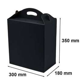 Pudełko z uchwytem 300x180x350mm czarne F217