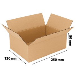 Karton klapowy 250 x 120 x 80 mm