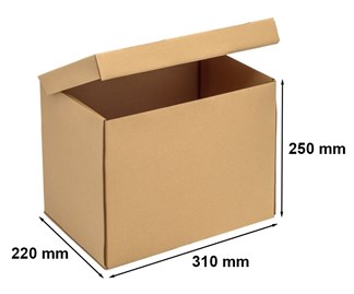 opakowanie-wykrojnikowe-a4-310x220x250-20szt.jpg