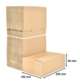 Kartony Klapowe 250x150x80mm, 10 sztuk