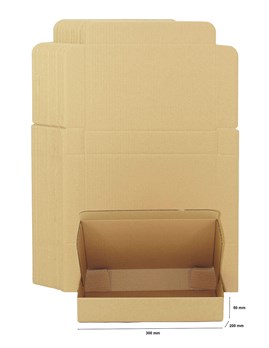 Pakiet - Karton wykr. 300x200x50mm - 10 szt