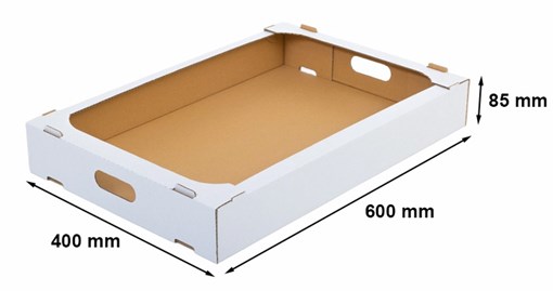 Tacka na pączki ciasta warzywa 600x400x85mm B380 F436 Biały