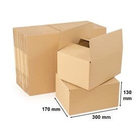 Kartony Klapowe 300x170x130mm, 10 sztuk
