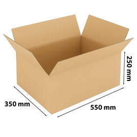 Karton klapowy 550x350x250