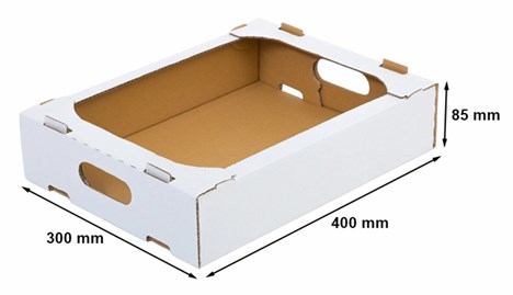Karton tacka pączki warzywa 400x300x85mm B360 F436 Biały